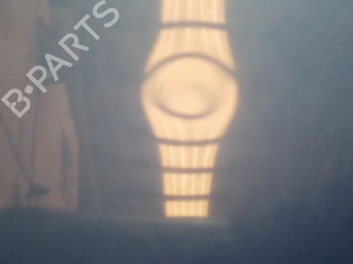 Hood RENAULT LAGUNA III (BT0/1) 2.0 dCi GT (BT11, BT1E, BT1N) | BP29180979C1 