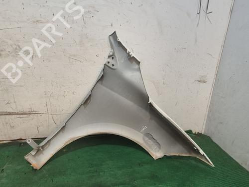 Left front fenders RENAULT MEGANE III Hatchback (BZ0/1_, B3_)  | BP29641060C41 