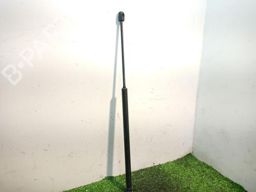 Tailgate lift support CITROËN C4 Picasso I MPV (UD_)  | BP17001060C138 