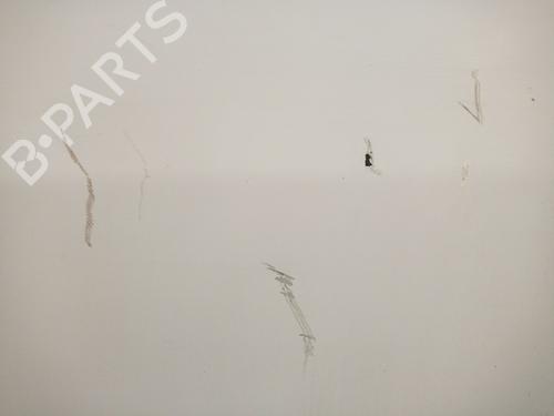 Left front door MERCEDES-BENZ VITO Van (W638)  | BP28084444C2 