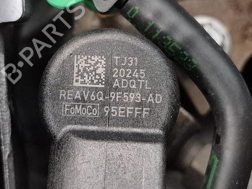Engine FORD C-MAX II (DXA/CB7, DXA/CEU) 1.6 TDCi | BP36013429M1 - Image 9