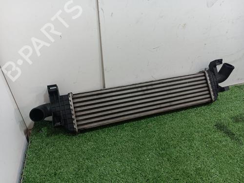 BP15965065M30 | Intercooler VOLVO C30 (533) 1.6 D BP15965065M30