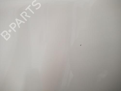 Left front door BMW 1 (E87)  | BP11202695C2 