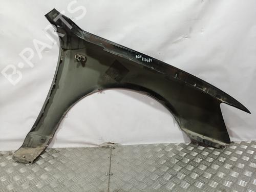Left front fenders HYUNDAI SONATA IV (EF) 2.0 CRDi Dynamic | BP9458538C41 