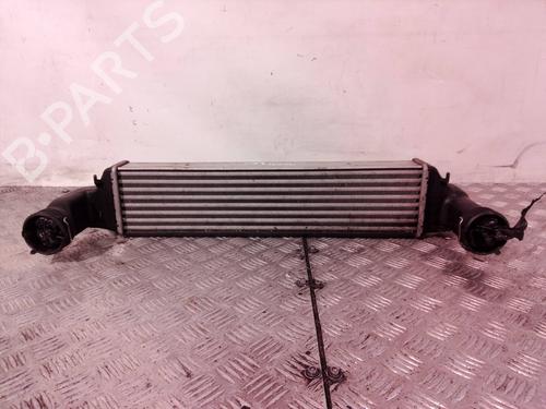 Intercooler BMW X3 (E83) 2.0 d (150 hp) 8941212