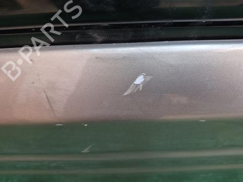 Left front door NISSAN TERRANO II (R20)  | BP26736038C2 