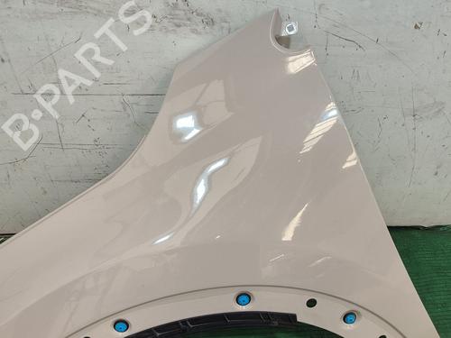 Left front fenders FIAT 500X (334_) 1.3 D Multijet (334AXH1A) | BP29122464C41 