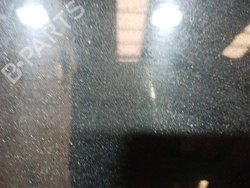 Left front door BMW 3 (E90) 316 d | BP11883930C2 