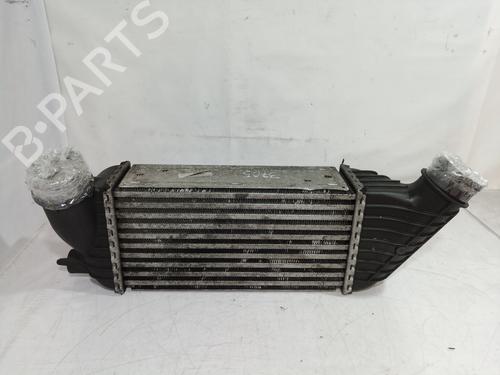 Intercooler FIAT SCUDO Bus (270_, 272_) 2.0 D Multijet | BP9735110M30 