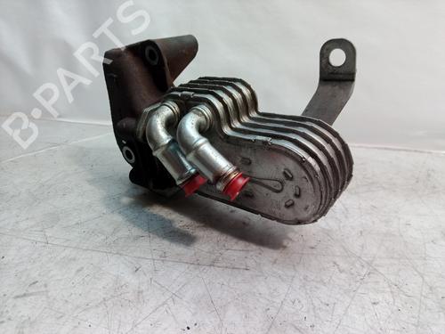 Egr CHRYSLER VOYAGER IV (RG, RS) 2.5 CRD | BP14304256M69 