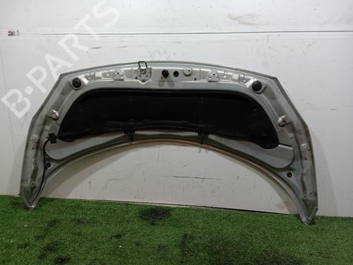 Hood RENAULT GRAND SCÉNIC II (JM0/1_)  | BP16574202C1 