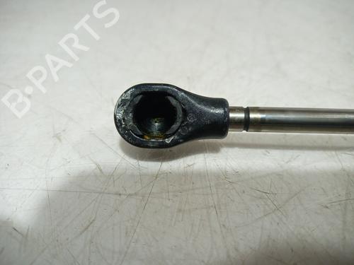 Hinge/Door check strap MERCEDES-BENZ S-CLASS (W221, V221)  | BP14304450C146 