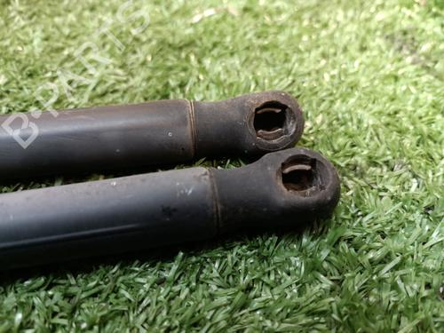Tailgate lift support FORD FIESTA V (JH_, JD_) 1.4 TDCi | BP16362270C138 