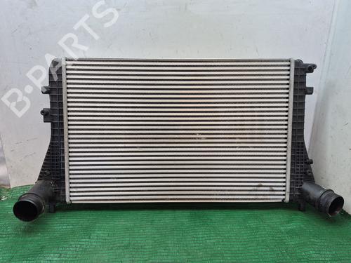 Used Water radiator VW GOLF PLUS V (5M1, 521) 1.6 TDI (105 hp) 29355110