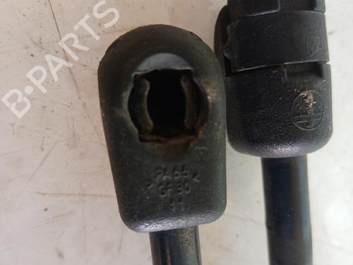 Tailgate lift support AUDI A3 Sportback (8PA) 1.6 FSI | BP14304301C138 