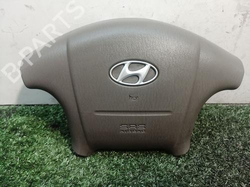 Driver airbag HYUNDAI SONATA IV (EF) [1998-2005]  17388002