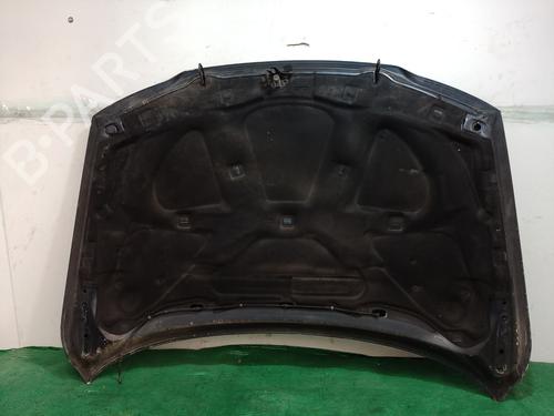 Hood VOLVO S80 I (184) D5 | BP23501477C1 