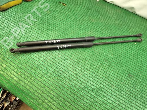 Used Tailgate lift support NISSAN QASHQAI / QASHQAI +2 I (J10, NJ10, JJ10E) 1.5 dCi (110 hp) 26956925
