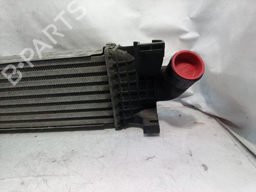 Intercooler FORD FOCUS II (DA_, HCP, DP)  | BP10100946M30 