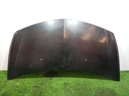 Used Hood RENAULT CLIO III (BR0/1, CR0/1) 1.2 16V (BR02, BR0J, BR11, CR02, CR0J, CR11) (75 hp) 16929361