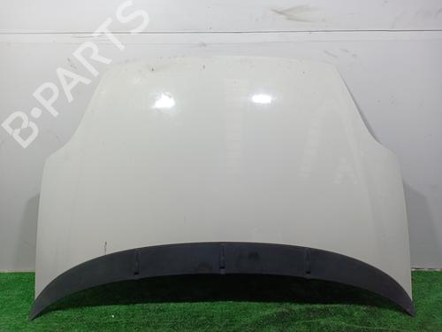 Hood FIAT GRANDE PUNTO (199_) [2005-2024]  13407899