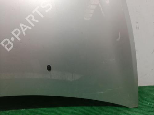 Hood RENAULT CLIO III (BR0/1, CR0/1) 1.5 dCi (BR17, CR17) | BP24401210C1
