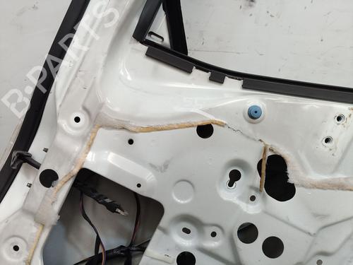 Right front door NISSAN CABSTAR E (TL_, VL_)  | BP25005619C3 