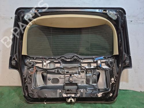 Tailgate MERCEDES-BENZ M-CLASS (W164) ML 280 CDI 4-matic (164.120) | BP28543362C6 