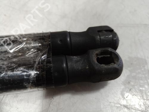 Hood lift support AUDI A8 D2 (4D2, 4D8)  | BP14304395C139 