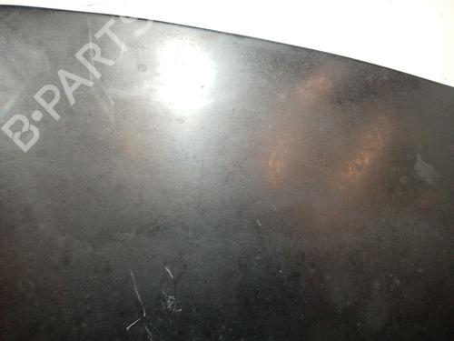 Hood RENAULT CLIO III (BR0/1, CR0/1) 1.2 16V (BR02, BR0J, BR11, CR02, CR0J, CR11) | BP16929361C1 