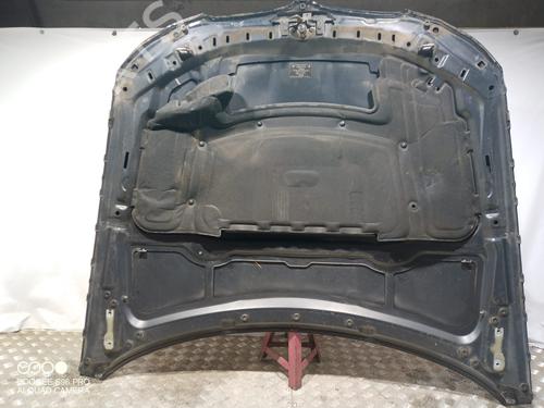 Hood BMW 3 (E90) 316 d | BP11716598C1