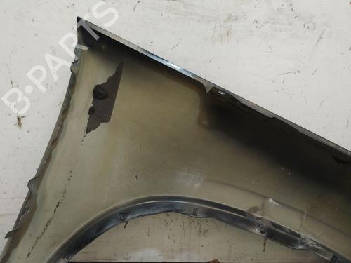 Left front fenders VW TIGUAN (5N_) 2.0 TDI 4motion | BP29479635C41 