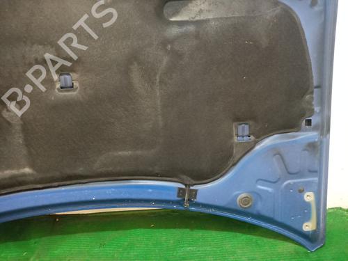 Hood RENAULT LAGUNA III (BT0/1) 2.0 dCi GT (BT11, BT1E, BT1N) | BP29180979C1 