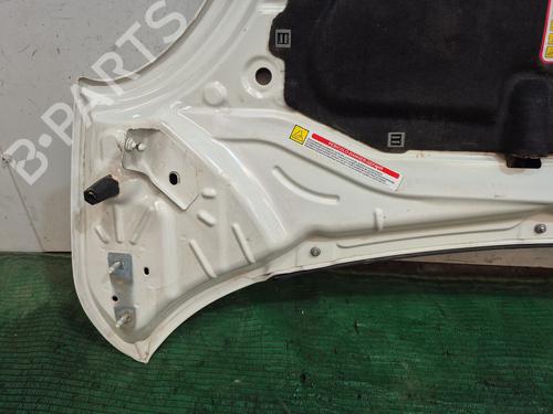 Hood FIAT 500L (351_, 352_) 1.3 D Multijet (199.LYM11, 199.LYM1A) | BP28511567C1