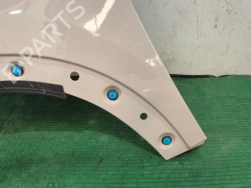 Left front fenders FIAT 500X (334_) 1.3 D Multijet (334AXH1A) | BP29122464C41 