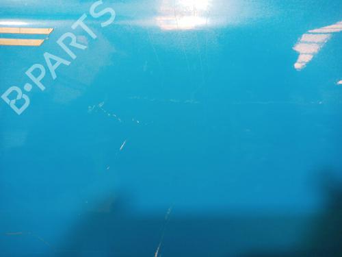 Left front door FORD TAUNUS (GBTS, GBFS, CBTS)  | BP13554199C2 