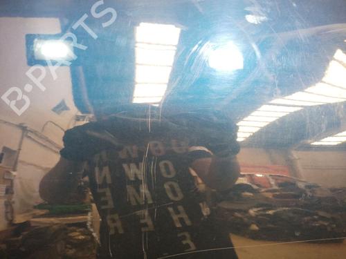Left rear door RENAULT MEGANE III Hatchback (BZ0/1_, B3_) 1.2 TCe (BZ16, BZ28) | BP24948654C4 