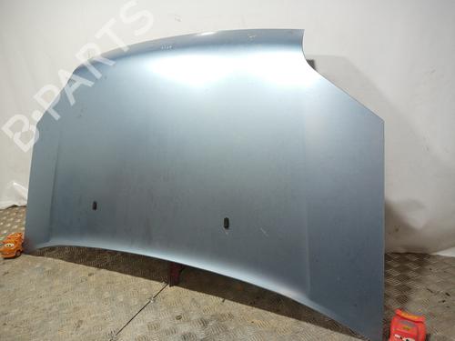 Hood FORD TOURNEO CONNECT  | BP11332288C1 