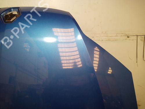Hood RENAULT LAGUNA III (BT0/1) 2.0 dCi GT (BT11, BT1E, BT1N) | BP29180979C1 