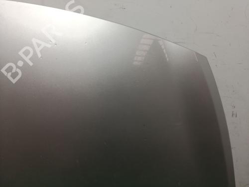 Hood RENAULT CLIO III (BR0/1, CR0/1) 1.5 dCi (BR17, CR17) | BP24401210C1