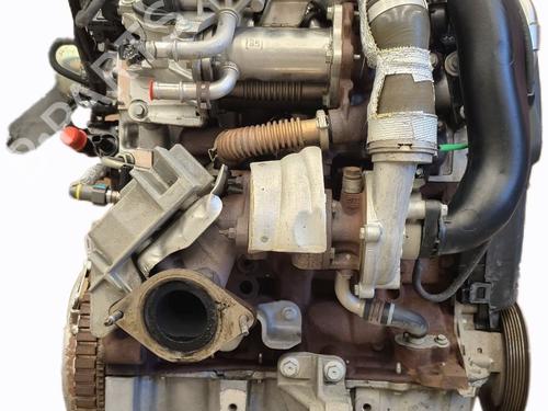 Motor Motor RENAULT CLIO III (BR0/1, CR0/1) 1.5 dCi (C/BR0G, C/BR1G) (68 hp) 36031720 36031720