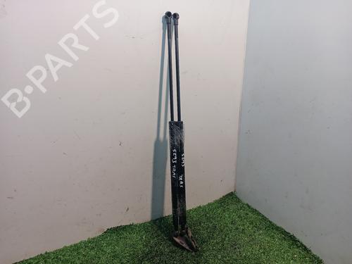 Tailgate lift support NISSAN ALMERA TINO (V10) 2.2 dCi | BP16074122C138 