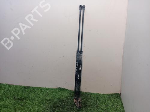 Tailgate lift support NISSAN ALMERA TINO (V10) 2.2 dCi | BP16074122C138 