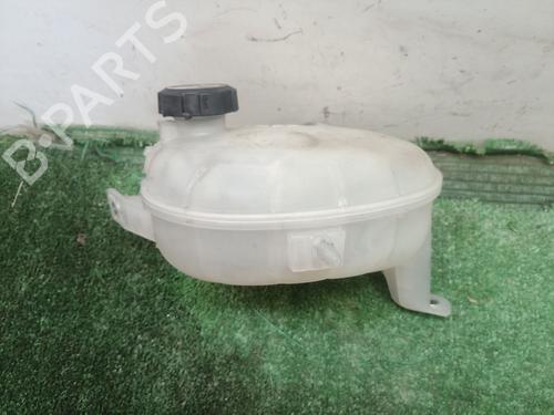 Expansion tank HYUNDAI IONIQ (AE) 1.6 GDI Hybrid | BP29250663C120 