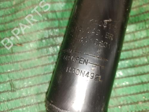 Right rear shock absorber VW TIGUAN (AD1, AX1) 1.5 TSI | BP26664862M19 
