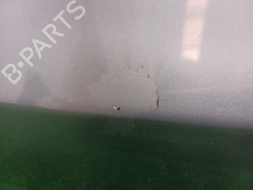 Left front door BMW 1 (E87) 118 d | BP13296939C2 