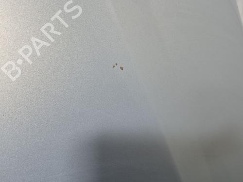 Capot VW SHARAN (7M8, 7M9, 7M6) 1.9 TDI | BP30589875C1