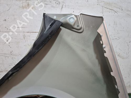 Left front fenders MERCEDES-BENZ A-CLASS (W169) A 180 CDI (169.007, 169.307) | BP29355131C41 
