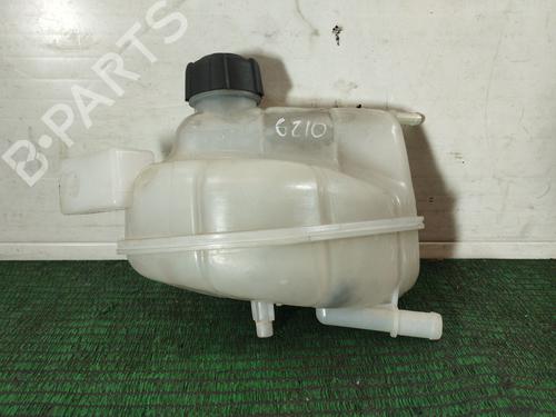 Ekspansjonstank Ekspansjonstank NISSAN QASHQAI II (J11, J11_) 1.2 DIG-T (115 hp) 34460485 34460485