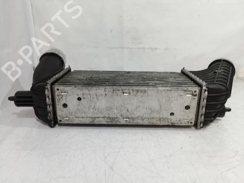 Intercooler FIAT SCUDO Bus (270_, 272_) 2.0 D Multijet | BP9735110M30 